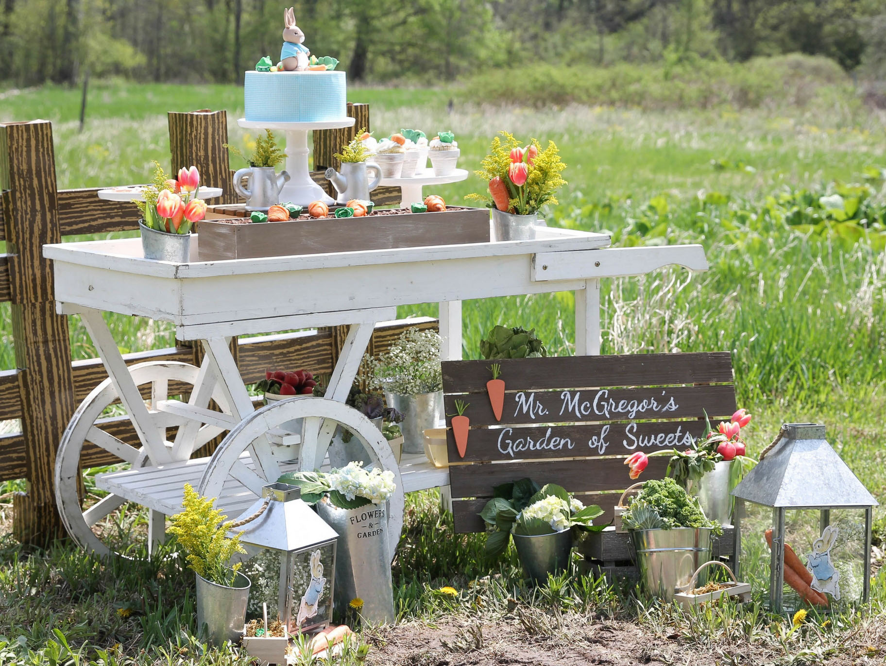 mr-mcgregor-s-garden-of-sweets-display-fun365